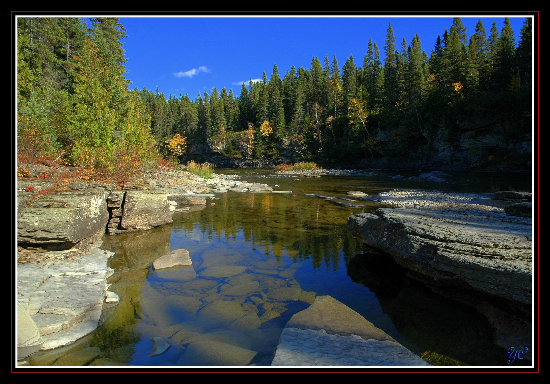 Fonds d'cran Nature Fleuves - Rivires - Torrents La rivire  saumon