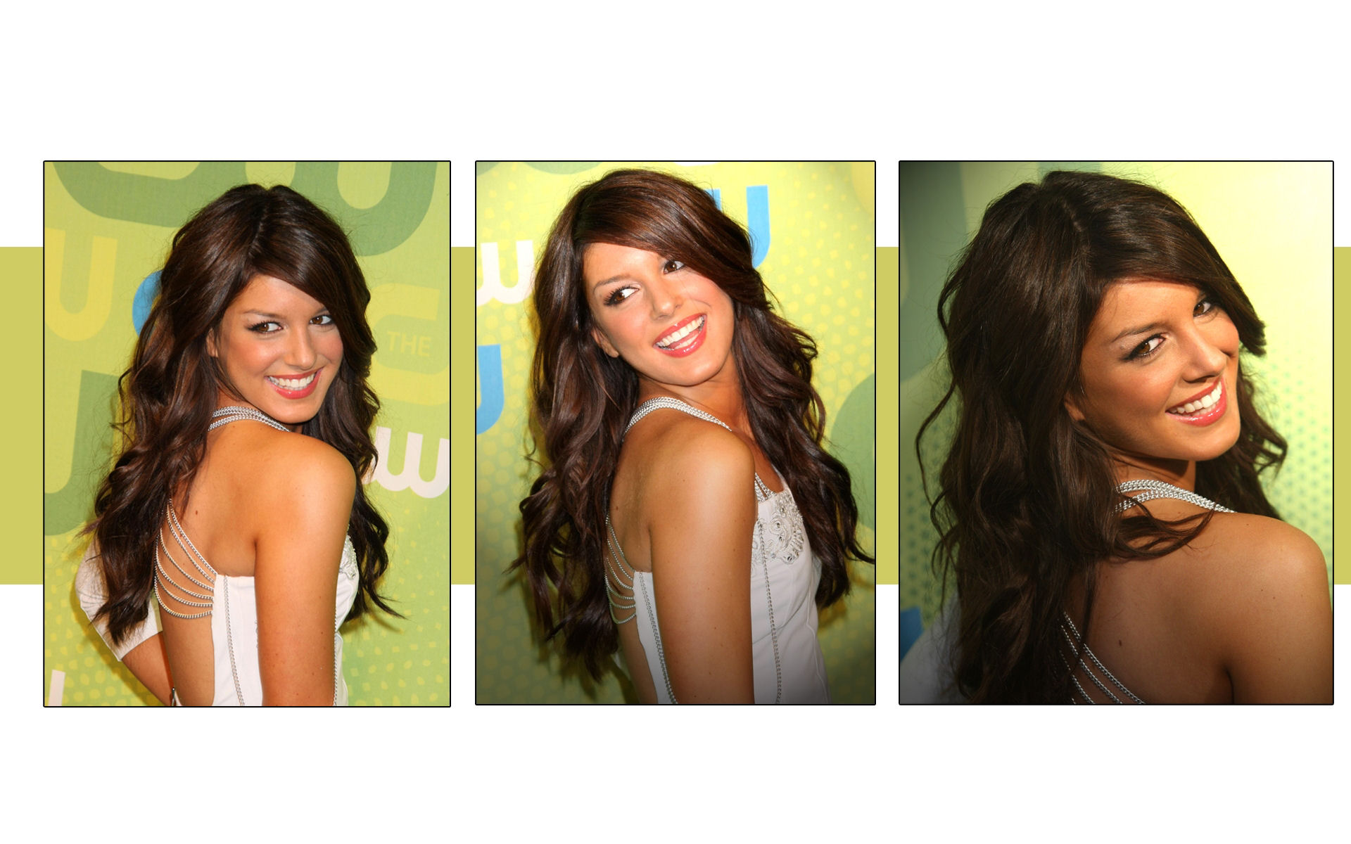 Wallpapers Celebrities Women Shenae Grimes  