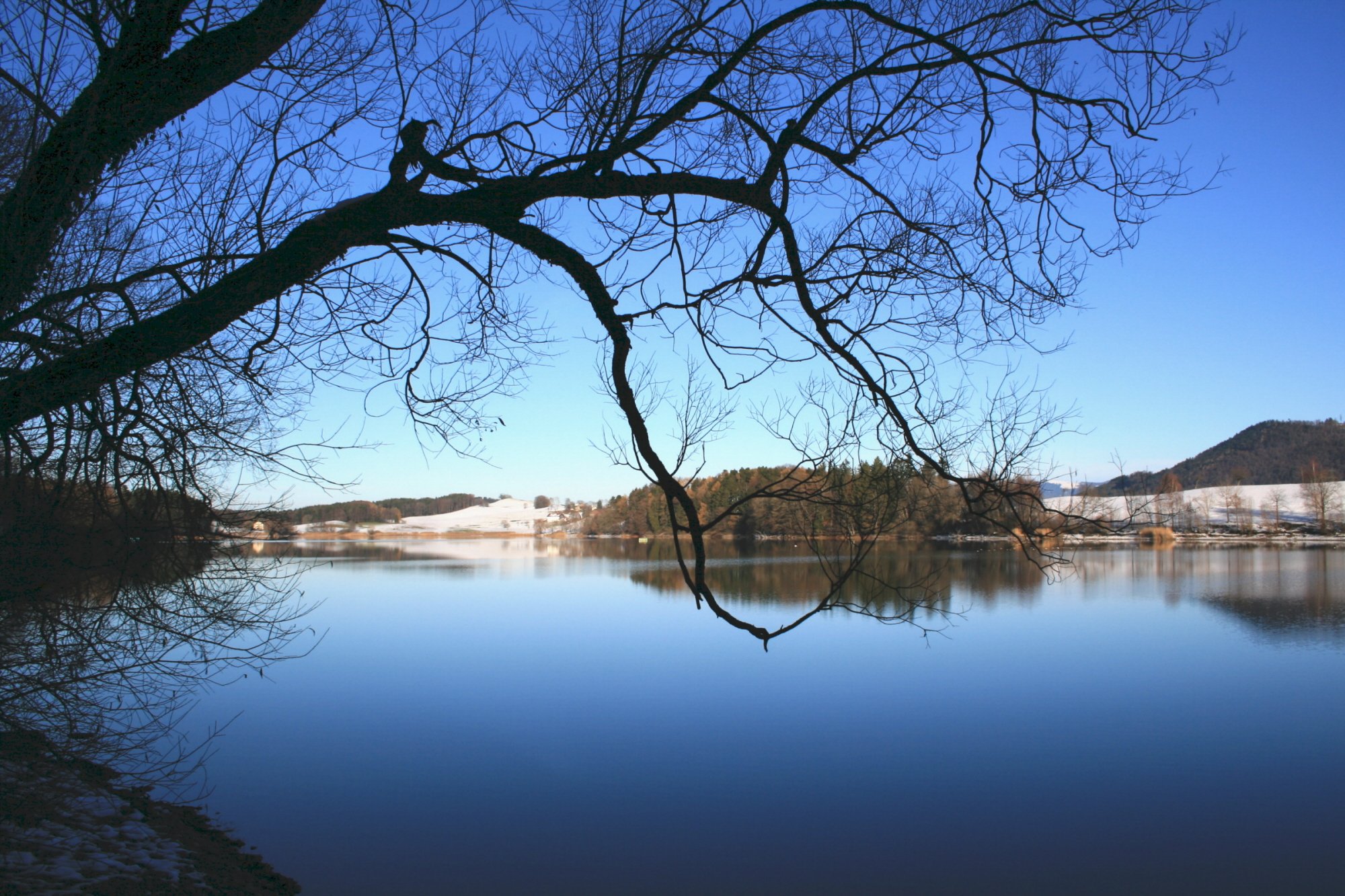 Fonds d'cran Nature Lacs - Etangs Lac bleu