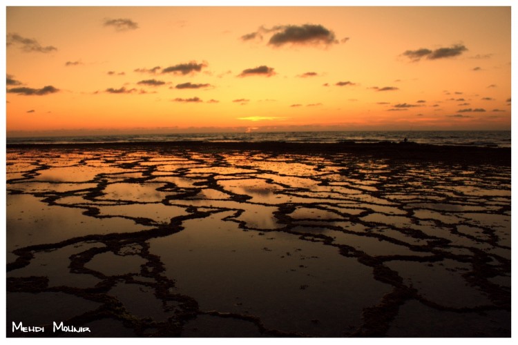 Fonds d'cran Nature Mers - Ocans - Plages Au 