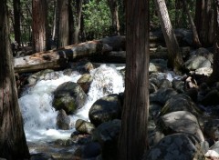 Fonds d'cran Nature torrent