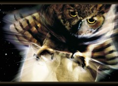 Wallpapers Movies Harry Potter  l'Ecole des Sorciers