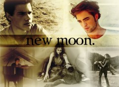 Fonds d'cran Cinma hros de new moon