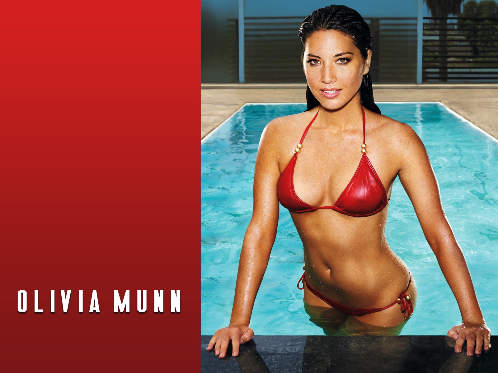 Wallpapers Celebrities Women Olivia Munn 