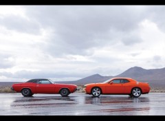 Fonds d'cran Voitures Dodge-Challenger