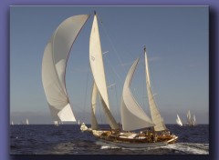 Fonds d'cran Bateaux Voiles de Saint Tropez