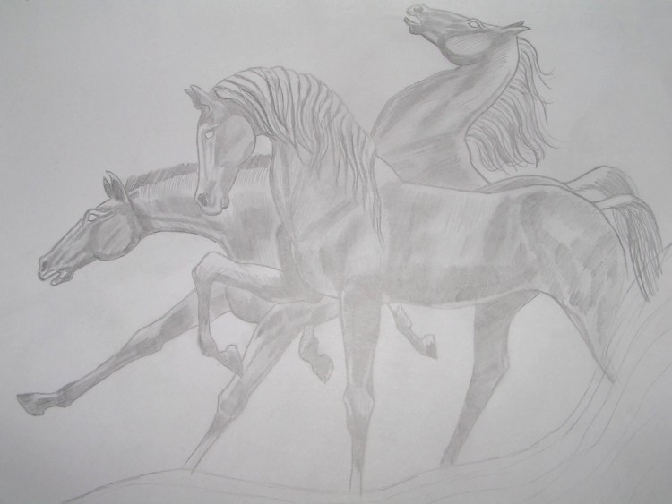 Fonds d'cran Art - Crayon Animaux - Chevaux trio de chevaux