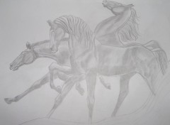 Fonds d'cran Art - Crayon trio de chevaux