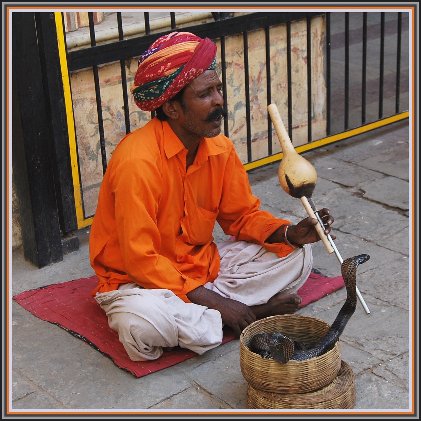 Fonds d'cran Voyages : Asie Inde Charmeur de serpents  Delhi