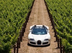 Wallpapers Cars Bugatti