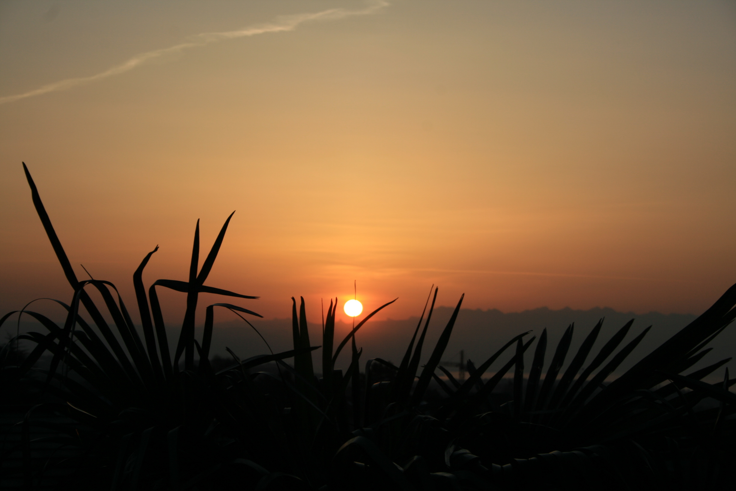 Fonds d'cran Nature Couchers et levers de Soleil Lever de soleil