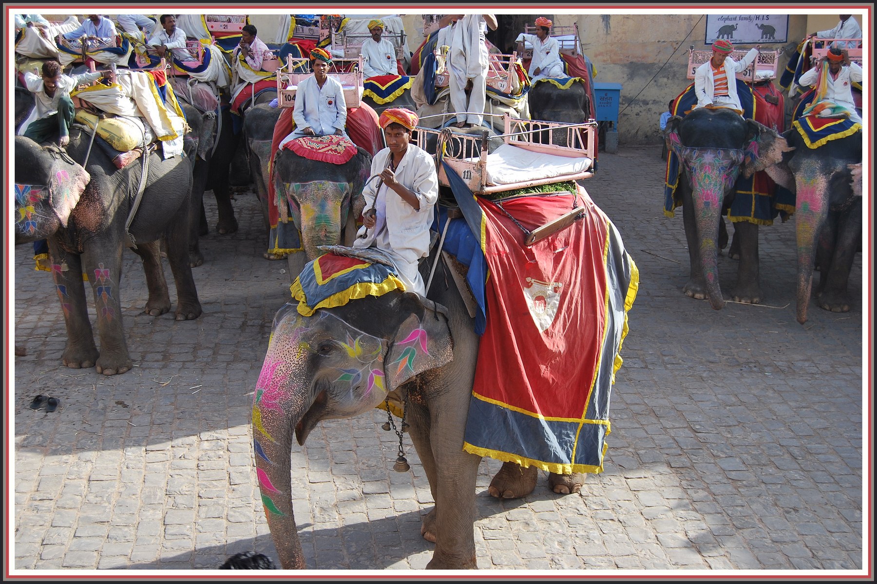 Wallpapers Animals Elephants Fort Amber Jaipur - Rajasthan