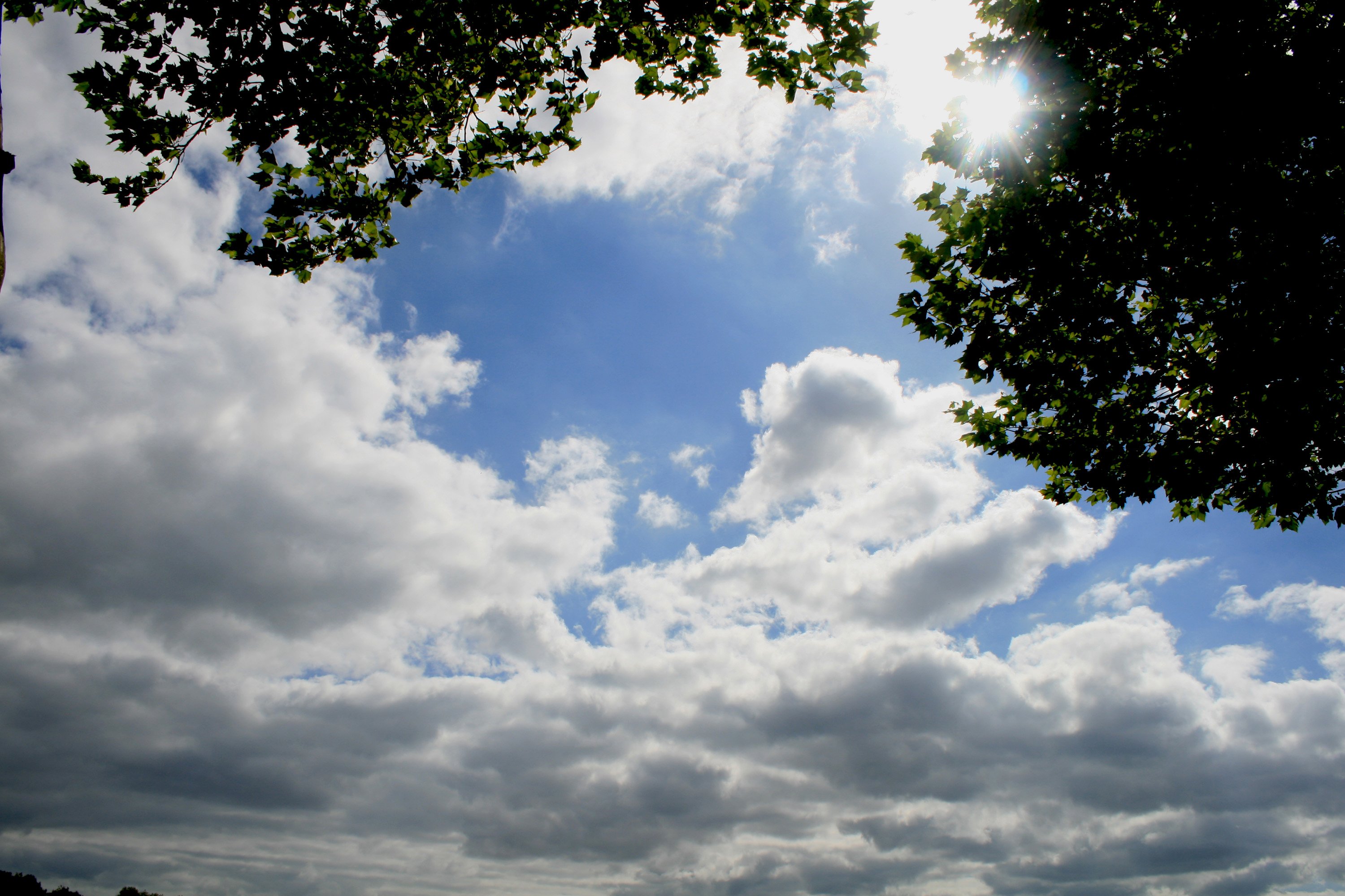 Wallpapers Nature Skies - Clouds nuance