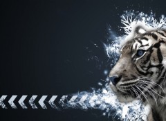 Wallpapers Animals Tigre