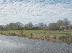 Fonds d'cran Nature La Brire au fusain