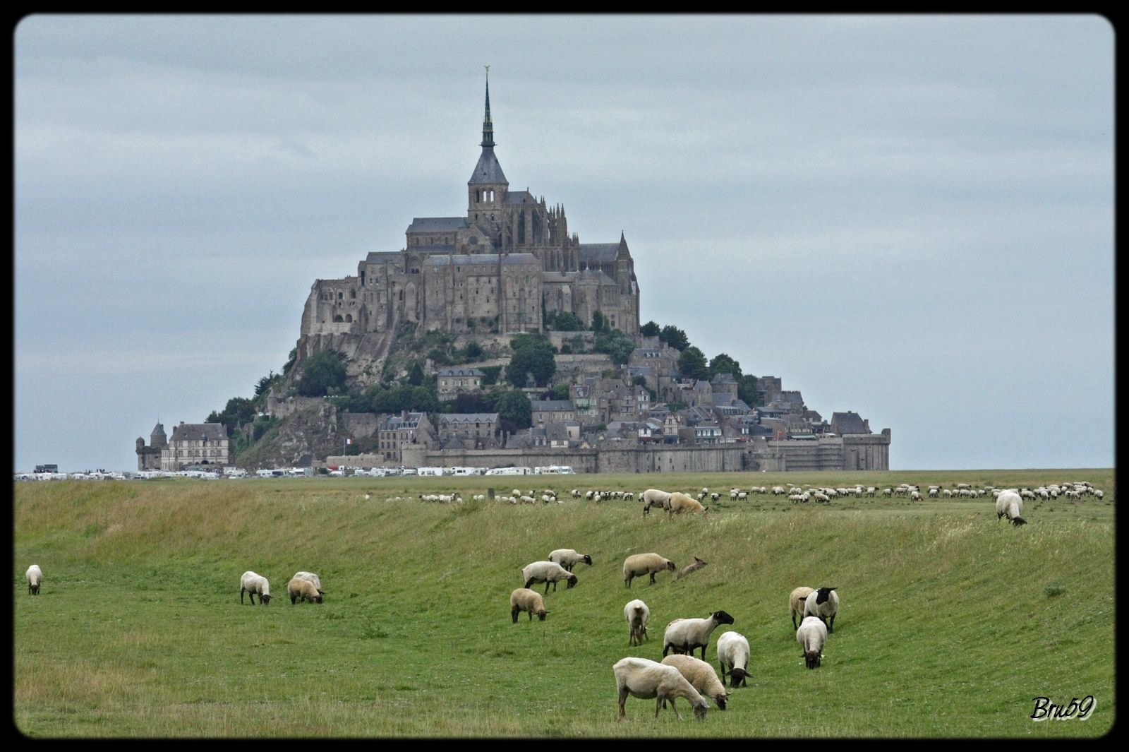 Fonds d'cran Voyages : Europe France > Bretagne Mont Saint-Michel et ses agneaux du pr-sal