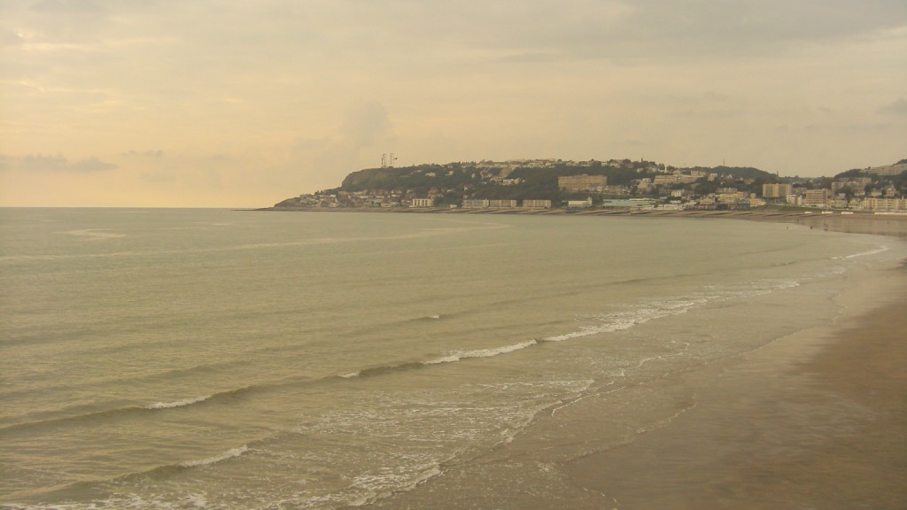 Fonds d'cran Nature Mers - Ocans - Plages on dirait un albatros