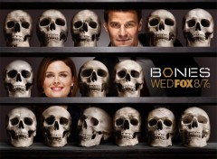 Fonds d'cran Sries TV Bones