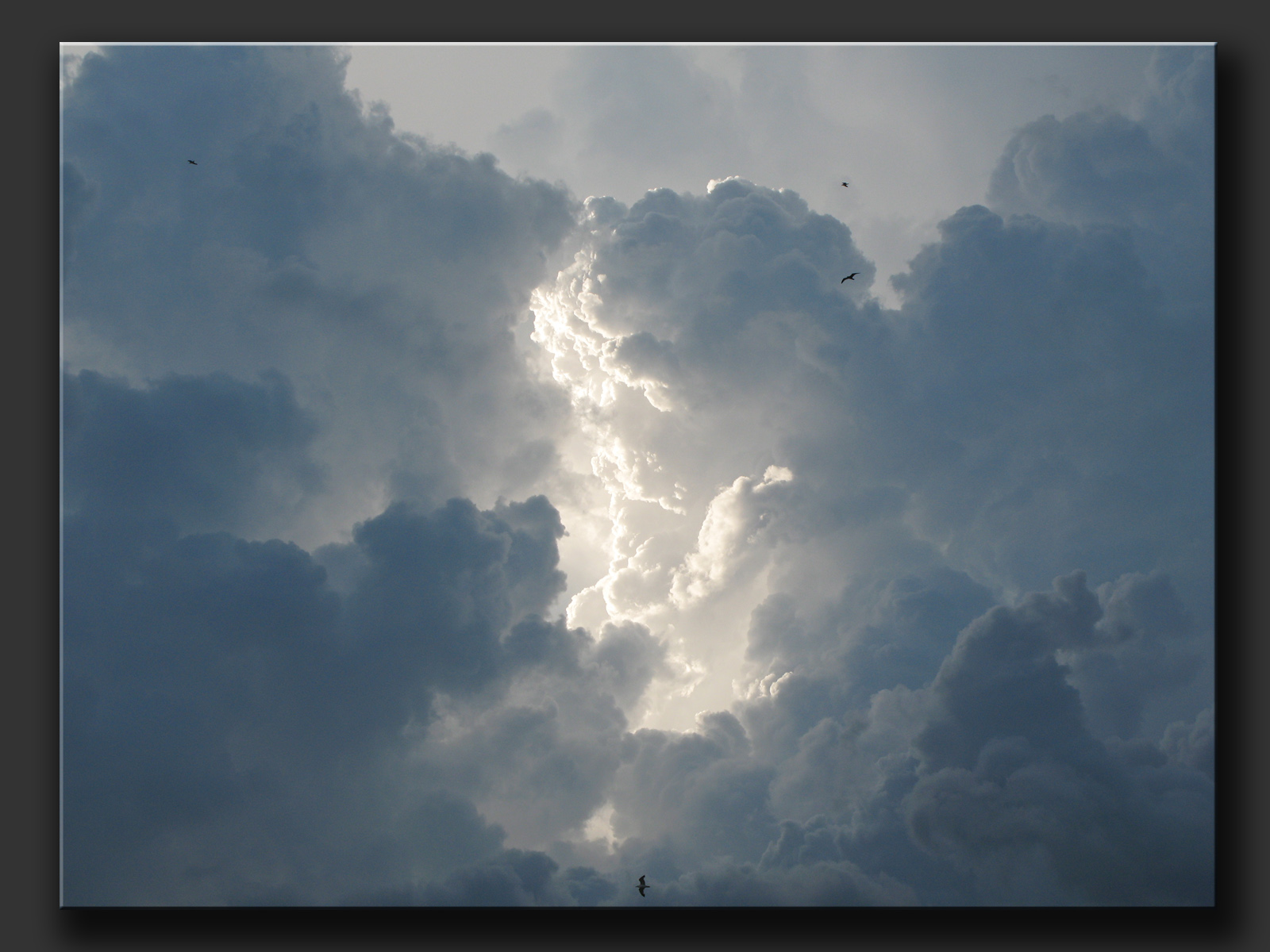 Wallpapers Nature Skies - Clouds Zeus prpare un mauvais coup