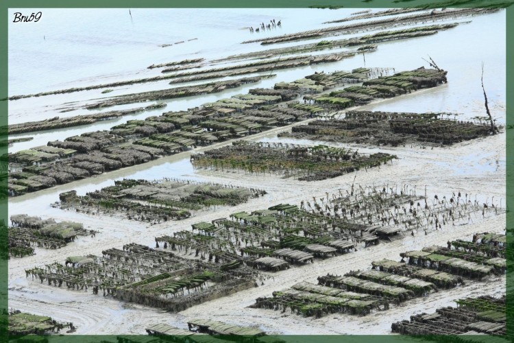 Fonds d'cran Voyages : Europe France > Bretagne Parc  hutres de Cancale