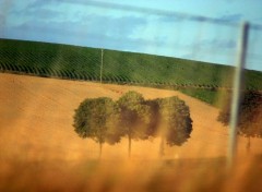 Fonds d'cran Nature Paysage de bourgogne