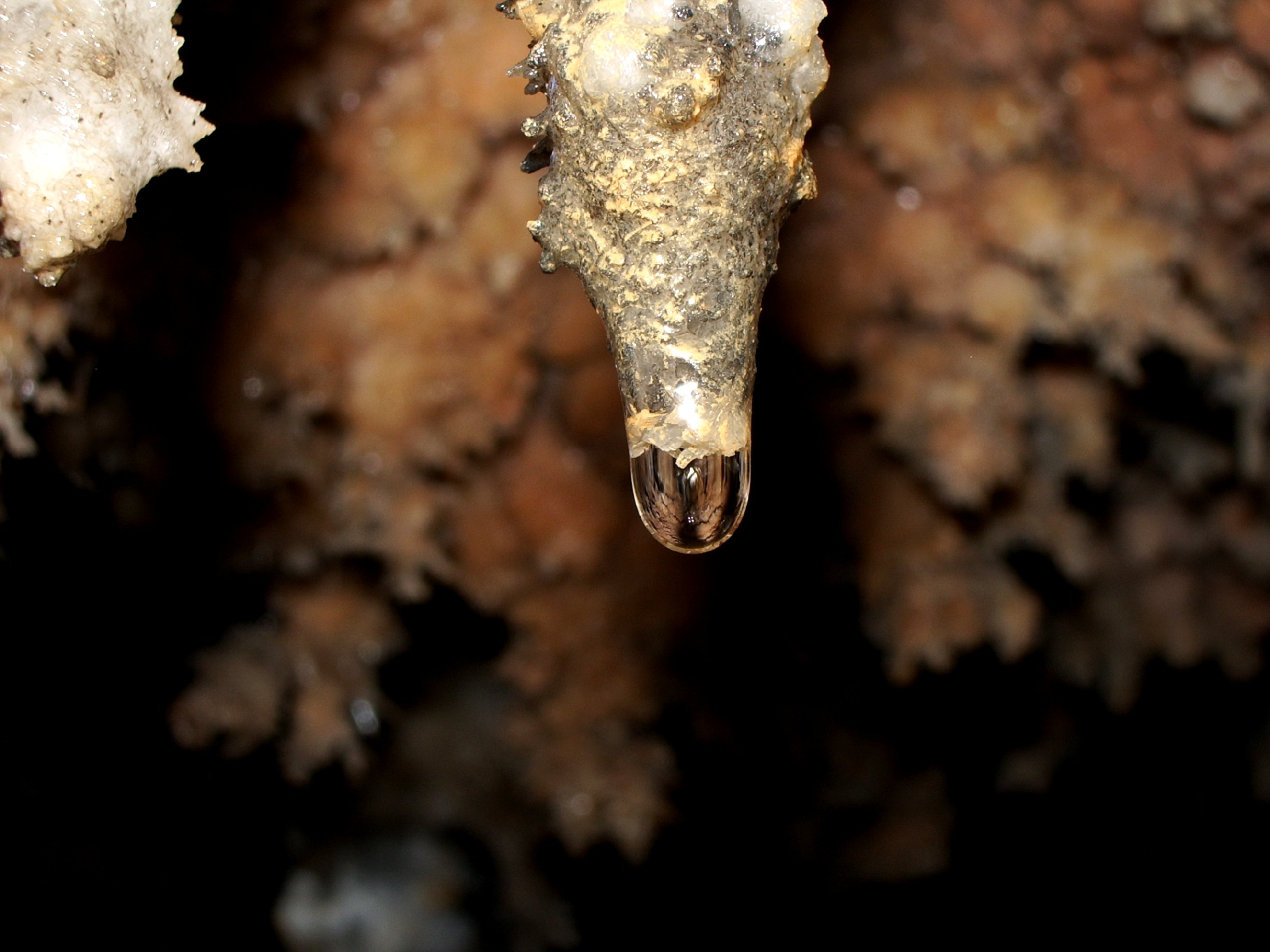 Fonds d'cran Nature Cavernes - Grottes goutte d'eau