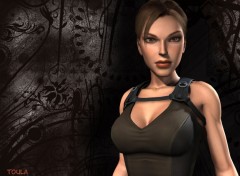 Fonds d'cran Jeux Vido tomb raider