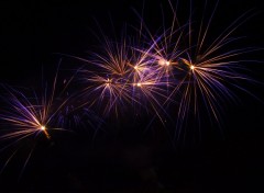 Fonds d'cran Hommes - Evnements feux d'artifice