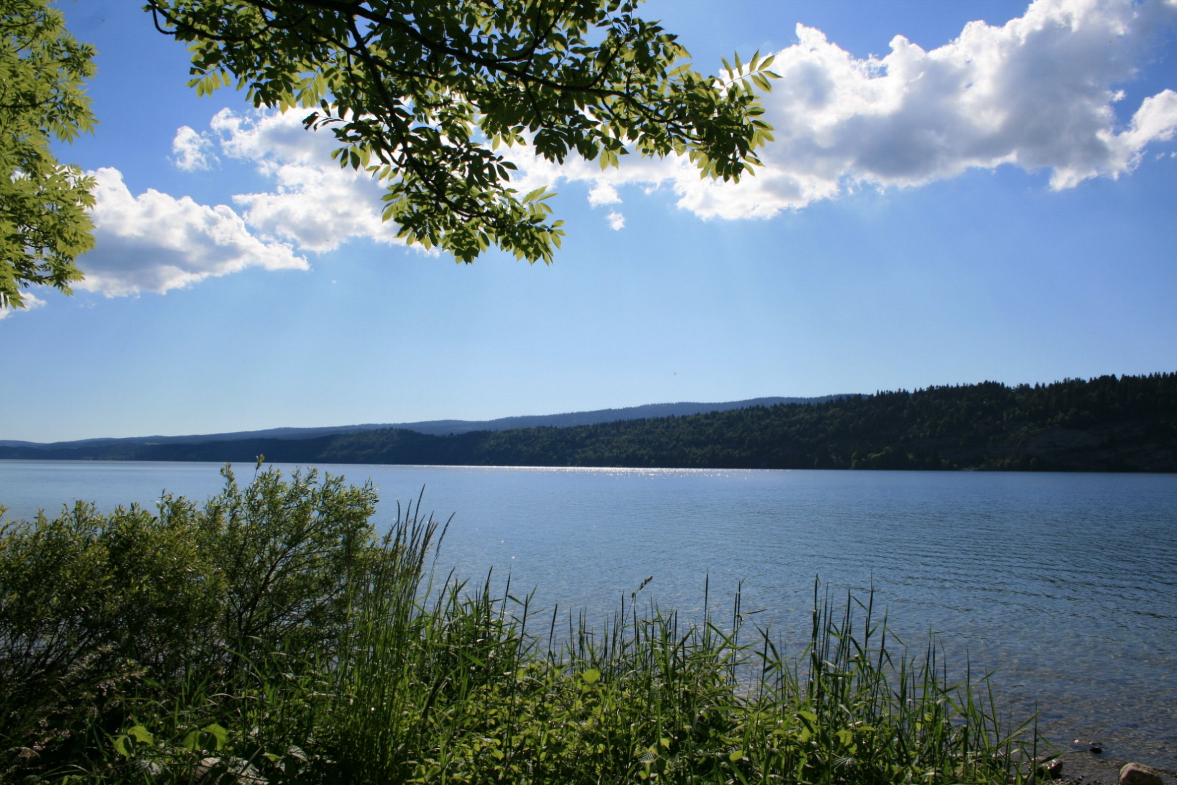 Fonds d'cran Nature Lacs - Etangs Lac et verdure