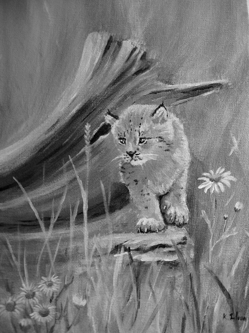 Fonds d'cran Art - Peinture Animaux Bb lynx