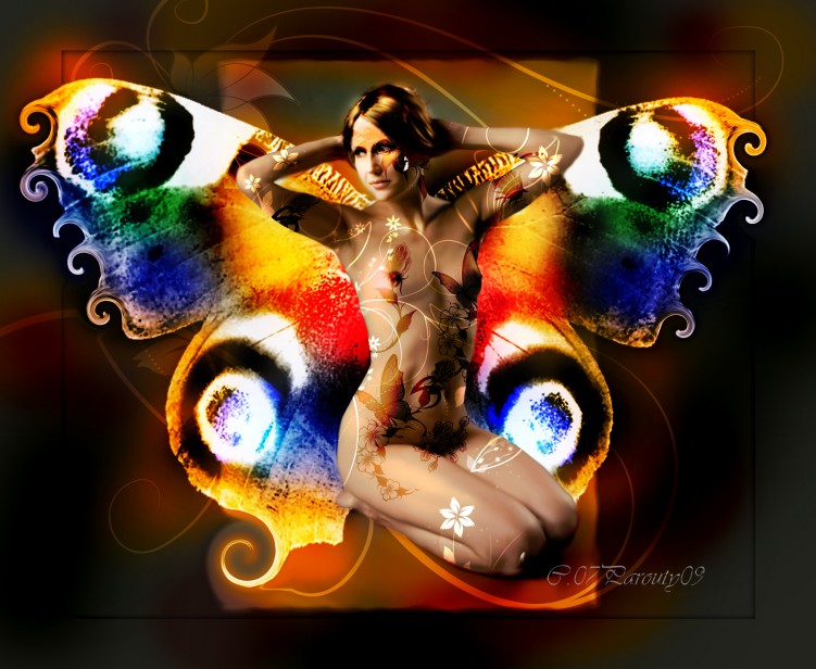 Wallpapers Digital Art Fairies elfe papillon2