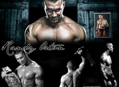 Fonds d'cran Sports - Loisirs Randy Orton