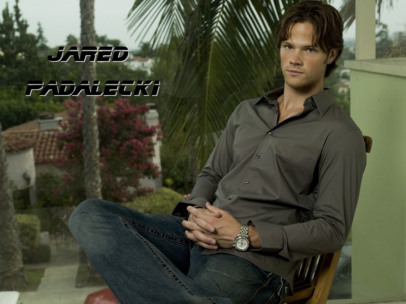 Fonds d'cran Clbrits Homme Jared Padalecki 