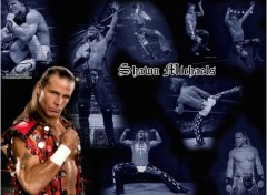 Wallpapers Sports - Leisures shawn michaels