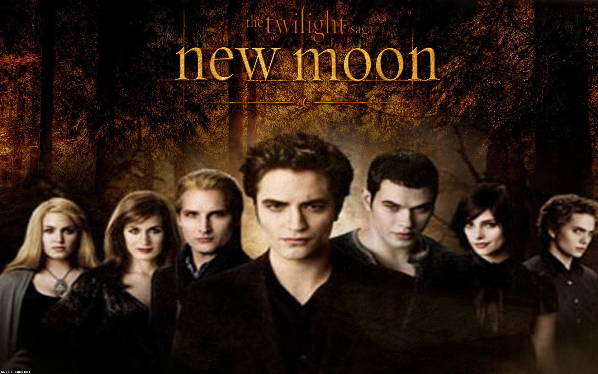 Fonds d'cran Cinma Twilight - Chapitre 2 : Tentation Twilight New Moon