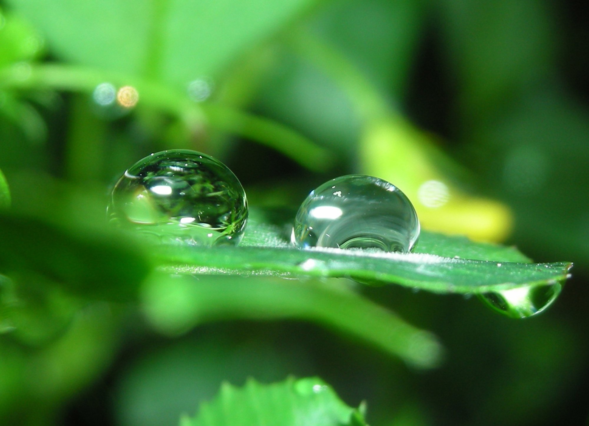 Fonds d'cran Nature Eau - Reflets Goutte d'eau 