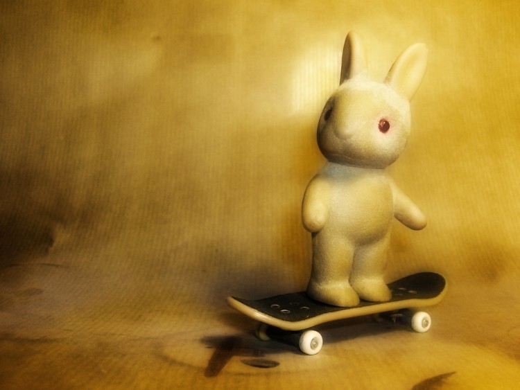 Fonds d'cran Art - Numrique Animaux Lapin Skater