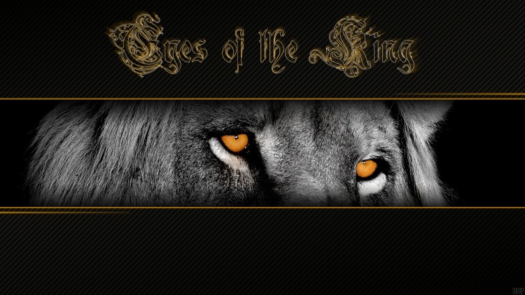 Wallpapers Animals Felines - Lions Eyes of the King