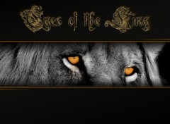 Wallpapers Animals Eyes of the King