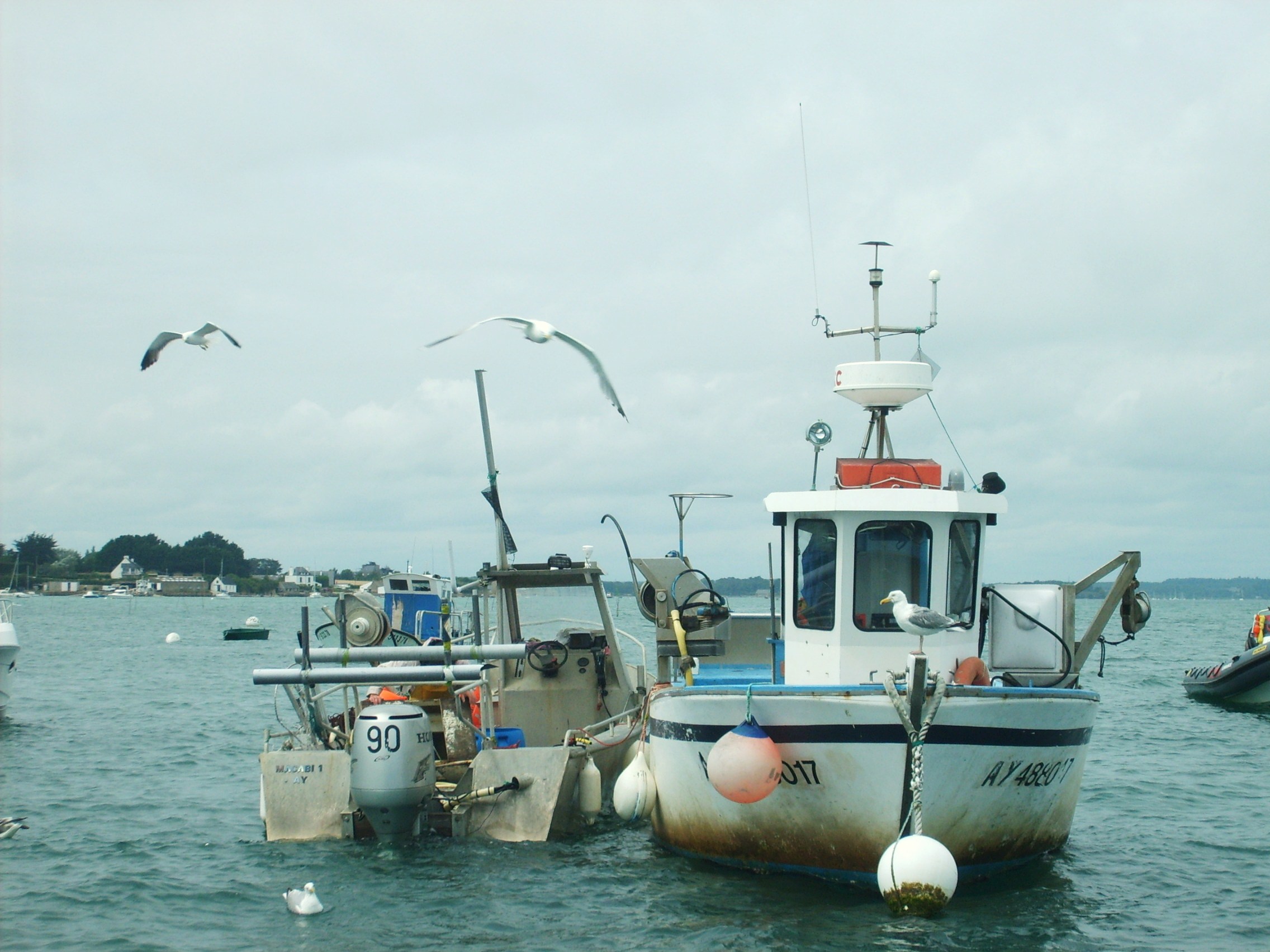 Fonds d'cran Bateaux Bateaux de pche bateau de pche