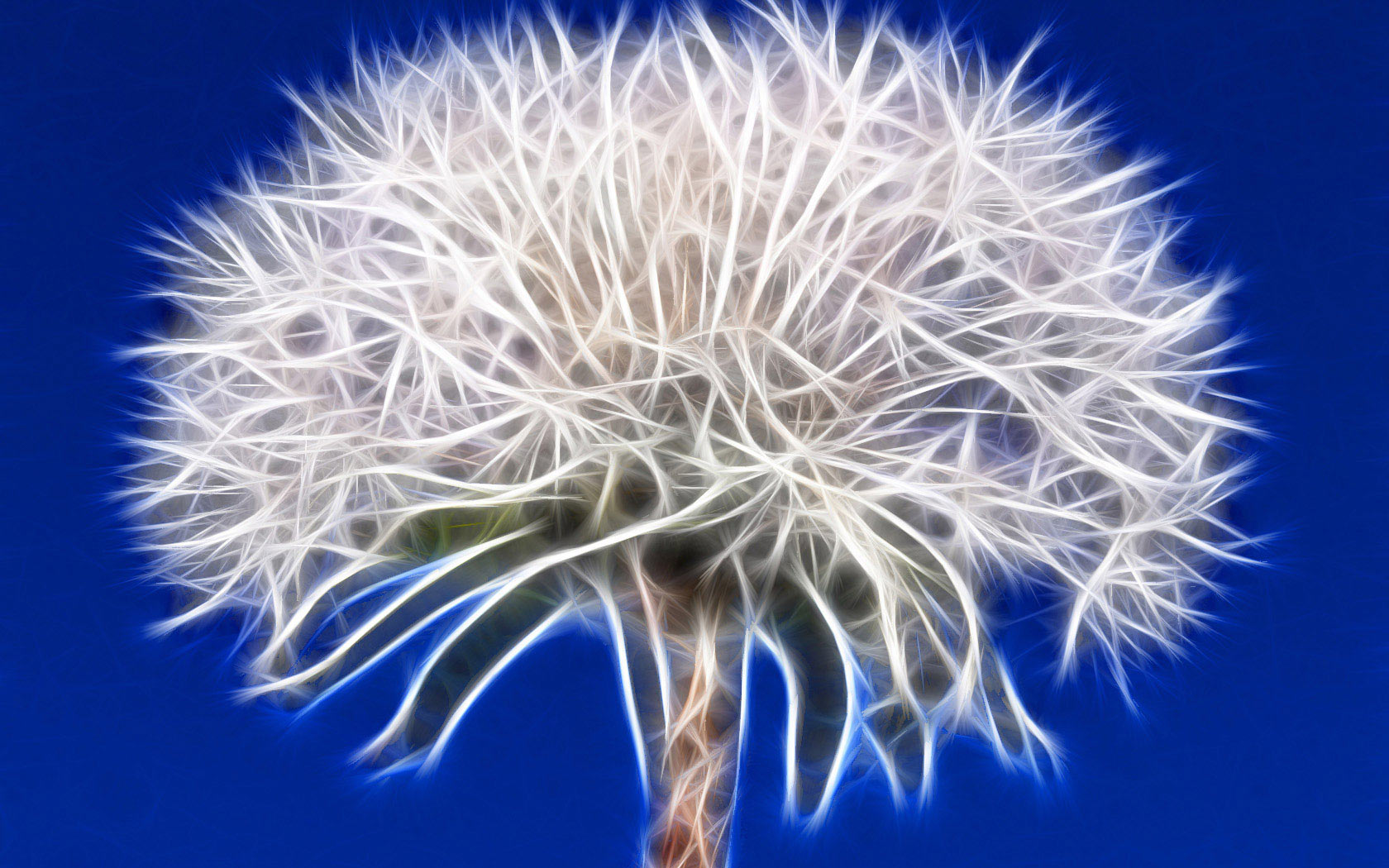 Fonds d'cran Art - Numrique Nature - Fleurs Dandelion