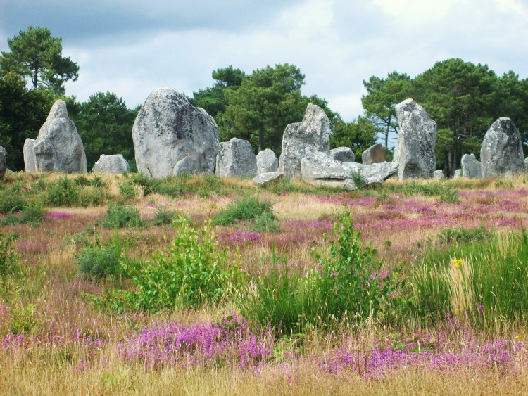 Fonds d'cran Constructions et architecture Statues - Monuments alignements de Carnac