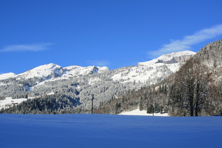 Fonds d'cran Nature Montagnes La Berneuse ( Leysin)