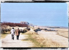 Fonds d'cran Nature Sur le chemin des vacances