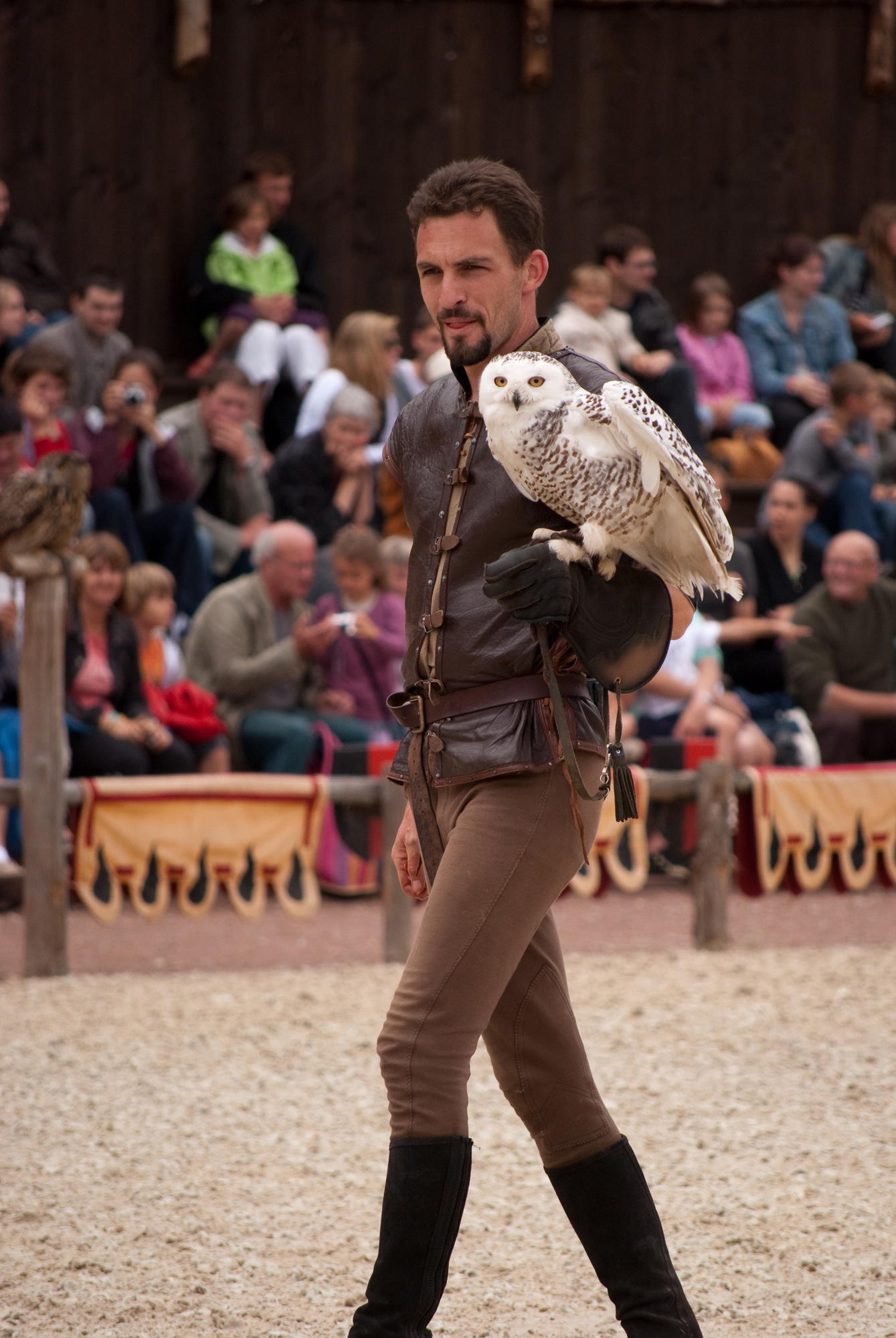 Fonds d'cran Animaux Oiseaux - Hiboux et Chouettes Spectacle rapaces Amnville