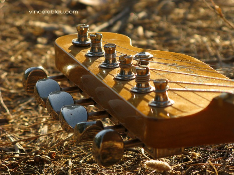 Wallpapers Music Instruments - Guitares Tte de telecaster au soleil