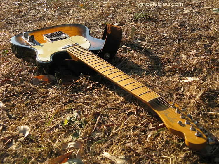 Wallpapers Music Instruments - Guitares telecaster au soleil