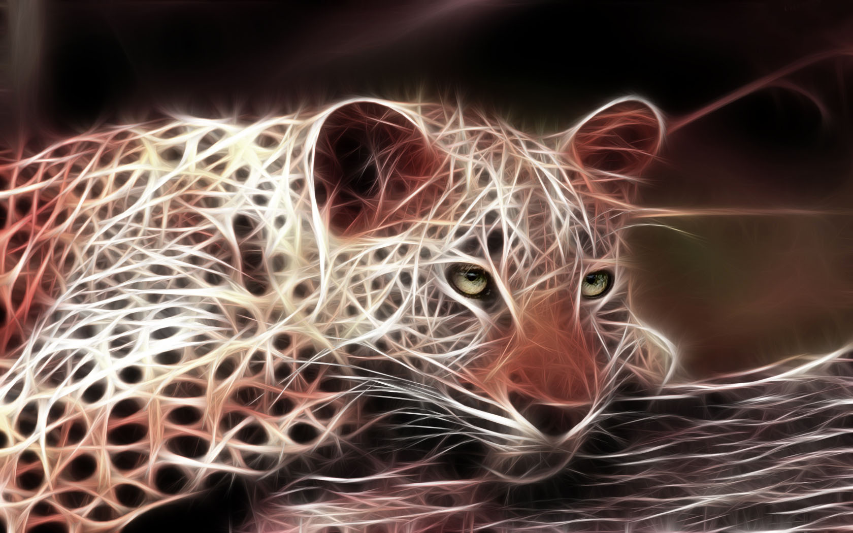 Wallpapers Animals Felines - Leopards 