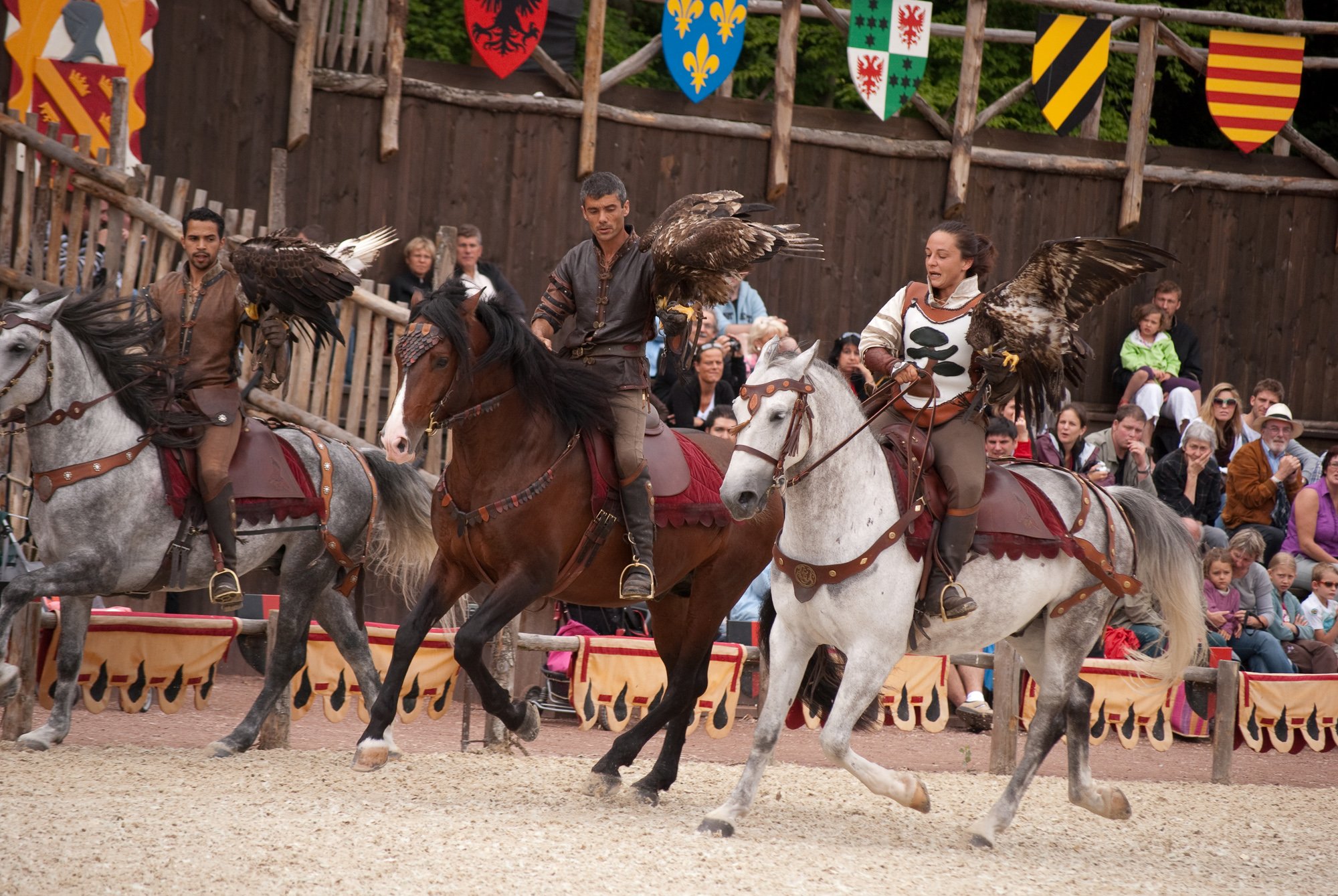 Fonds d'cran Hommes - Evnements Spectacles zoo d'Amnville