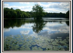 Fonds d'cran Nature nnupars sur reflets de nuages